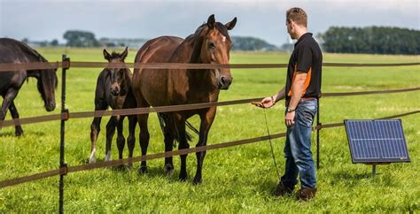 electrical hot box for horses|electric fencing for horses uk.